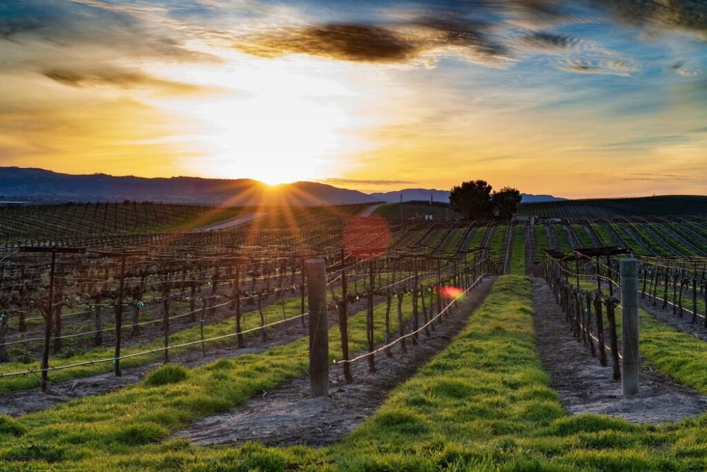 Paso Robles, California