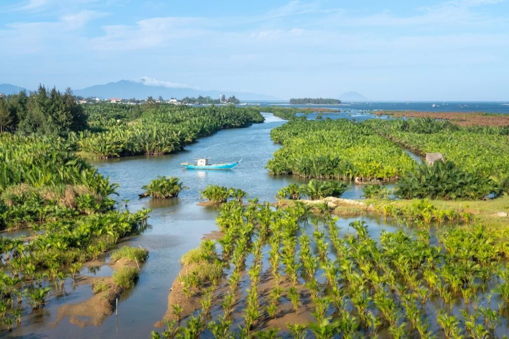 Amazon, Brazil