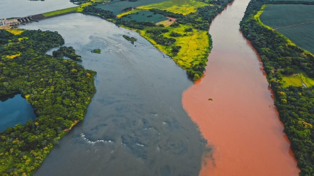 Amazon, Brazil