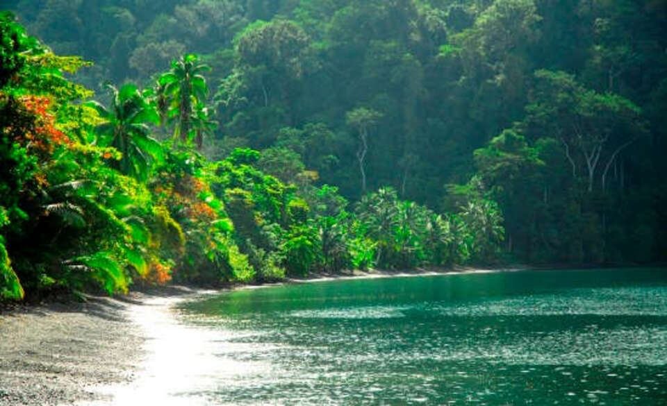 Corcovado National Park, Costa Rica