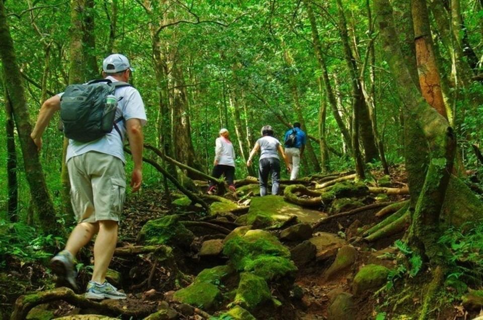 Rincon de la Vieja National Park Hikes