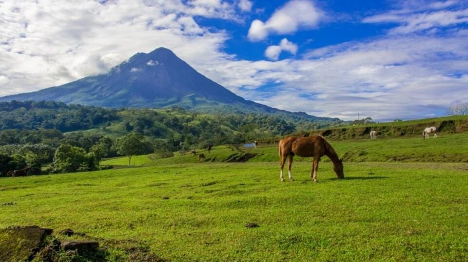 Arenal Volcano Park Hikes
