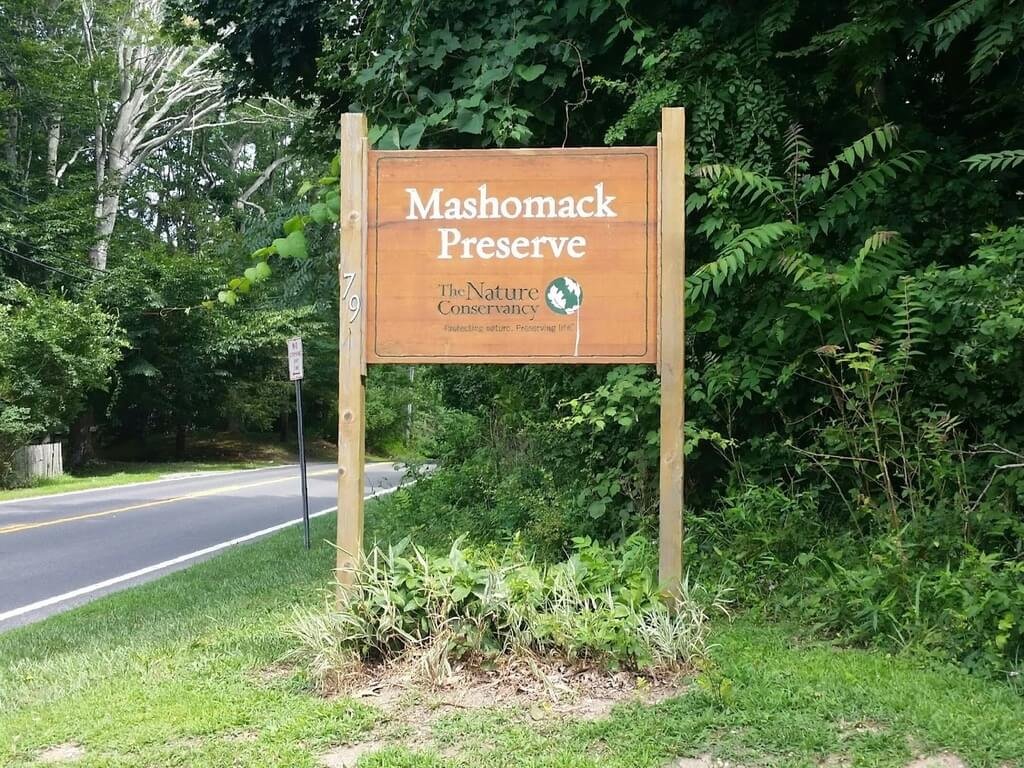 Preserve Mashomack Hampton NY