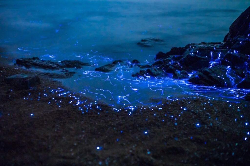 Bioluminescent Rocks, Okayama: Most Beautiful Places in Japan