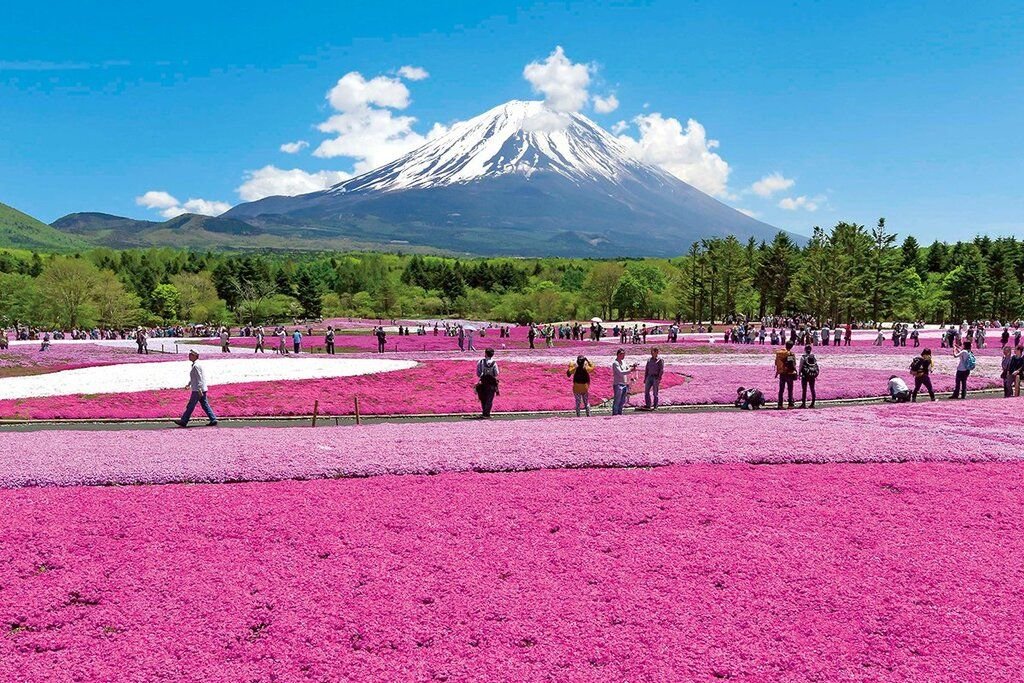 Mt Fuji, Yamanashi