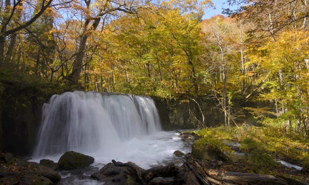 Oirase Gorge, Aomori