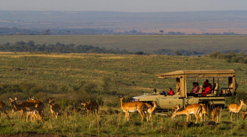 How Much Does an African Safari Cost