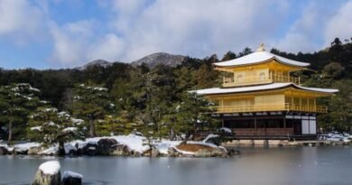 tips to travel in japan