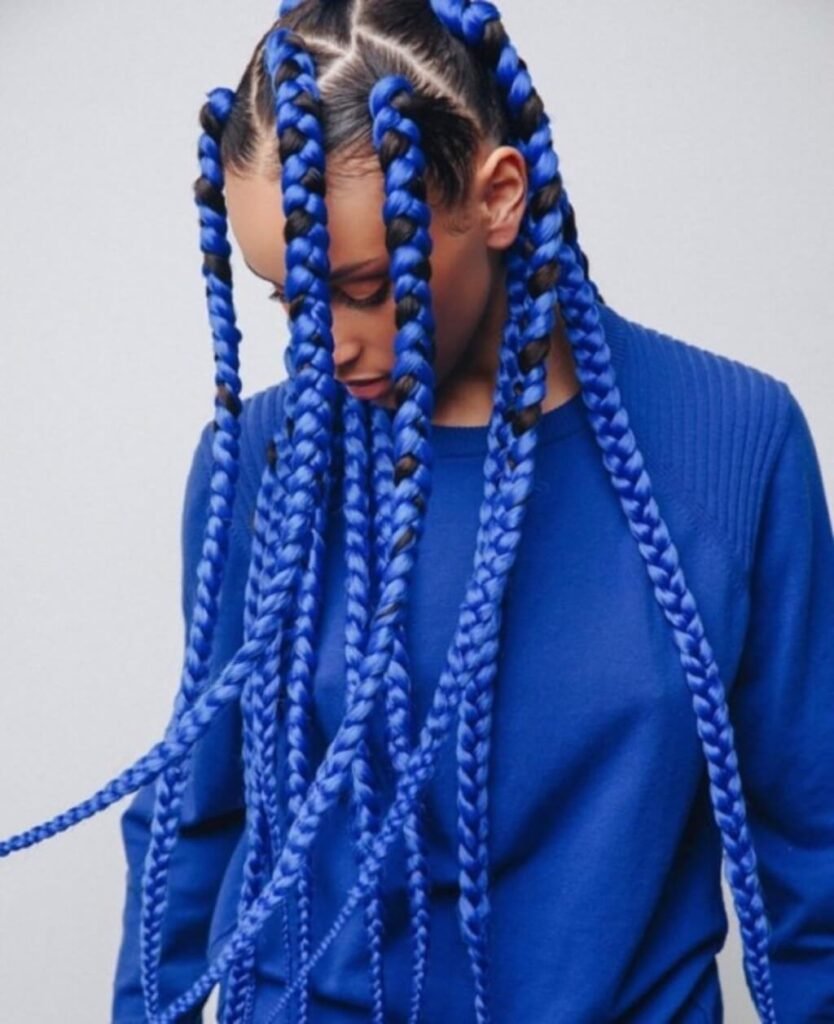 Blue Lines Two Braids Hairstyles